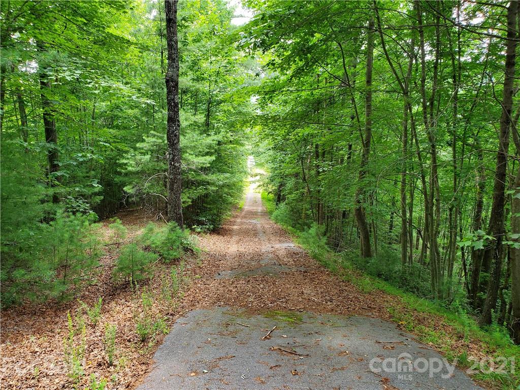 401 West Ridge Drive Ferguson, NC 28624 - Photo 27 of 36 a view of a pathway both side of yard