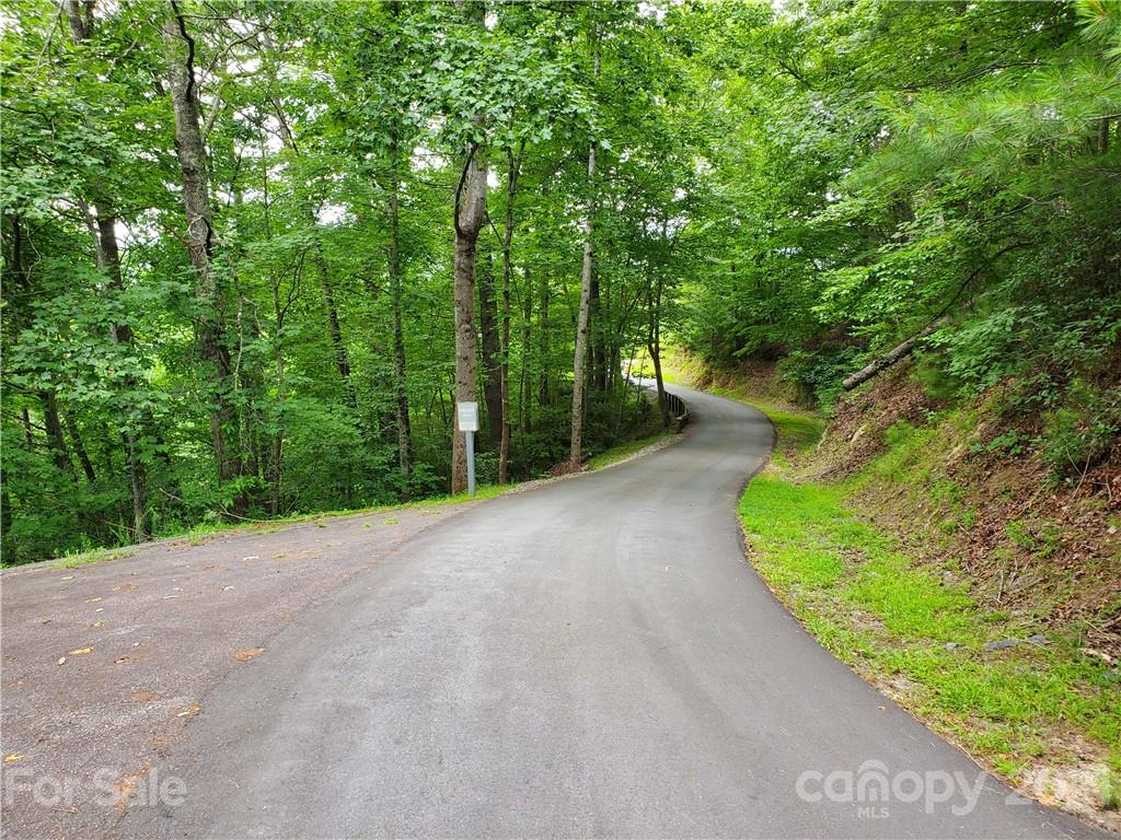 401 West Ridge Drive Ferguson, NC 28624 - Photo 29 of 36 a view of a street with a trees