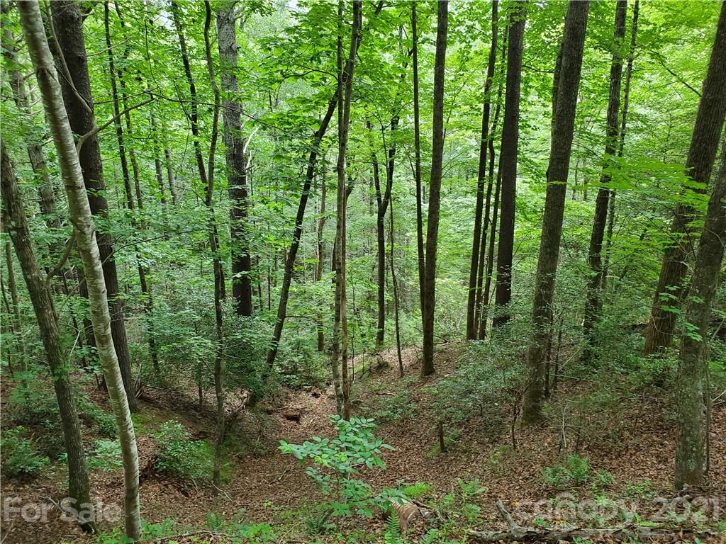 401 West Ridge Drive Ferguson, NC 28624 - Photo 32 of 36 a view of outdoor space and green space