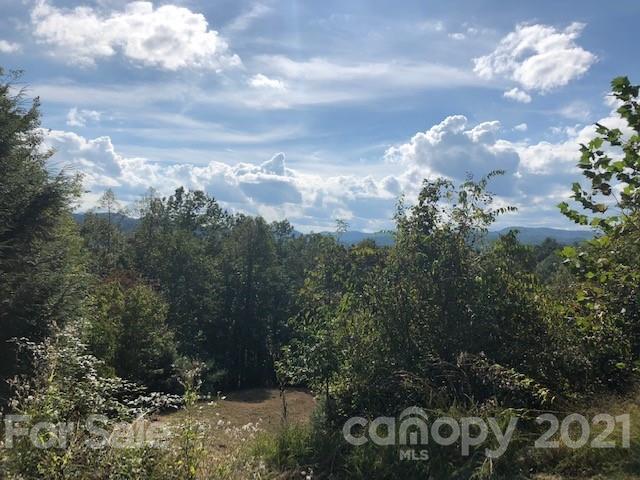 401 West Ridge Drive Ferguson, NC 28624 - Photo 10 of 36 a view of a bunch of trees