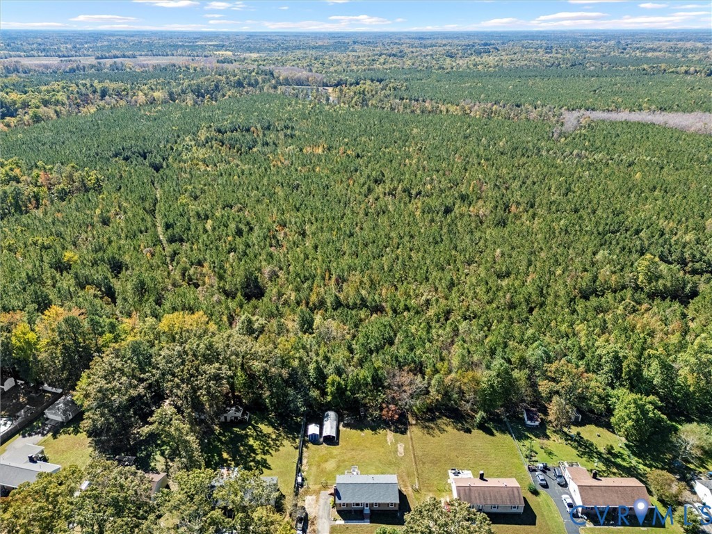 3913 Tavern Road Petersburg, VA 23805 - Photo 30 of 34 a view of a city with lush green forest