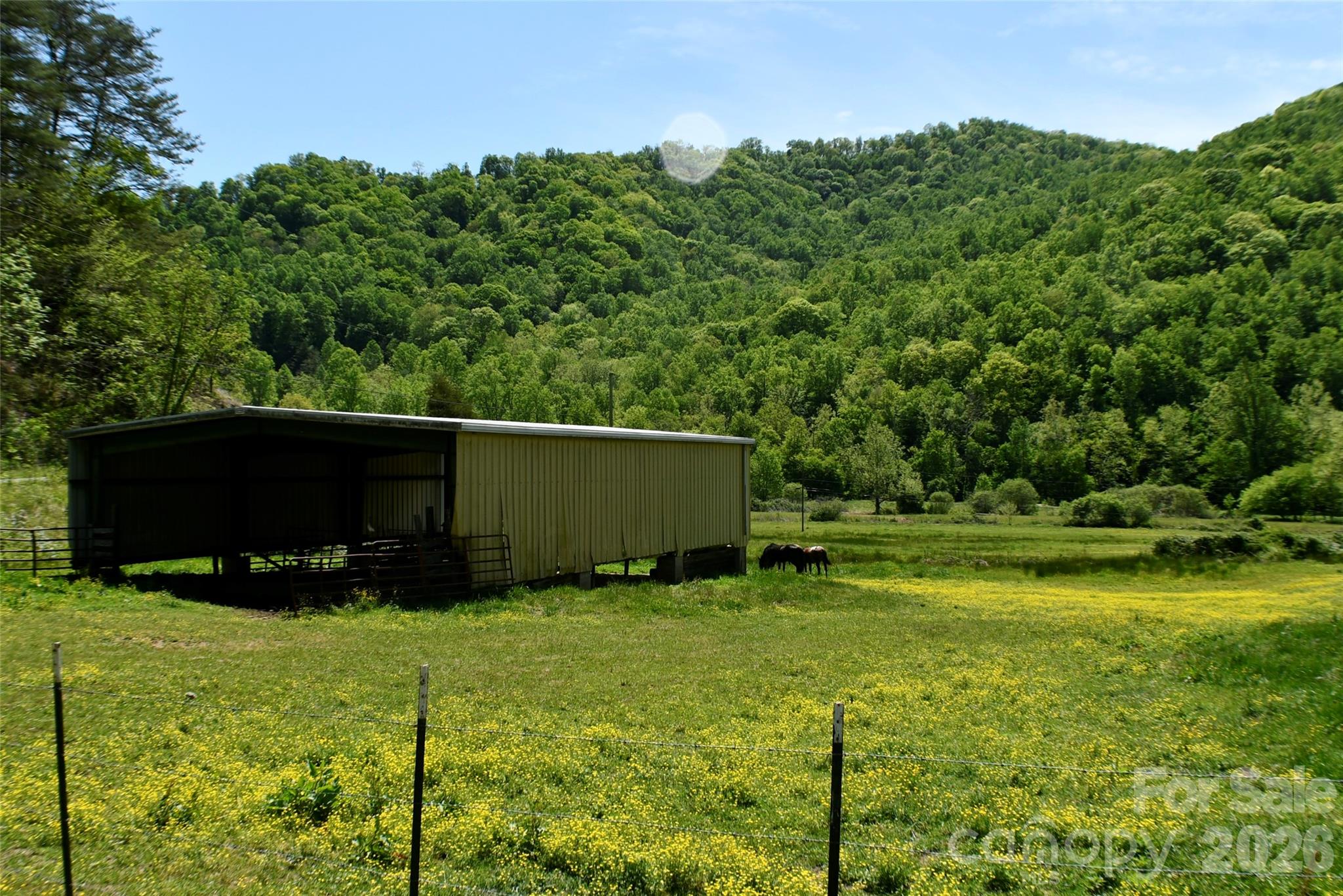 8200 Caney Fork Road Cullowhee, NC 28723 - Photo 3 of 21 a view of a backyard