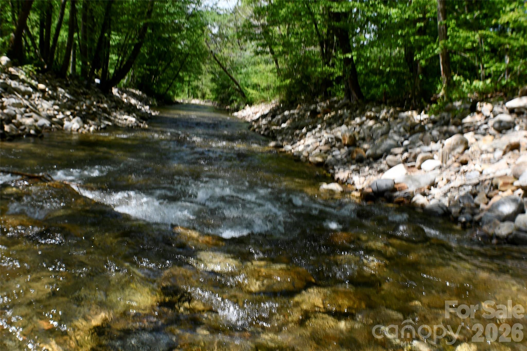 8200 Caney Fork Road Cullowhee, NC 28723 - Photo 5 of 21 a view of a tree