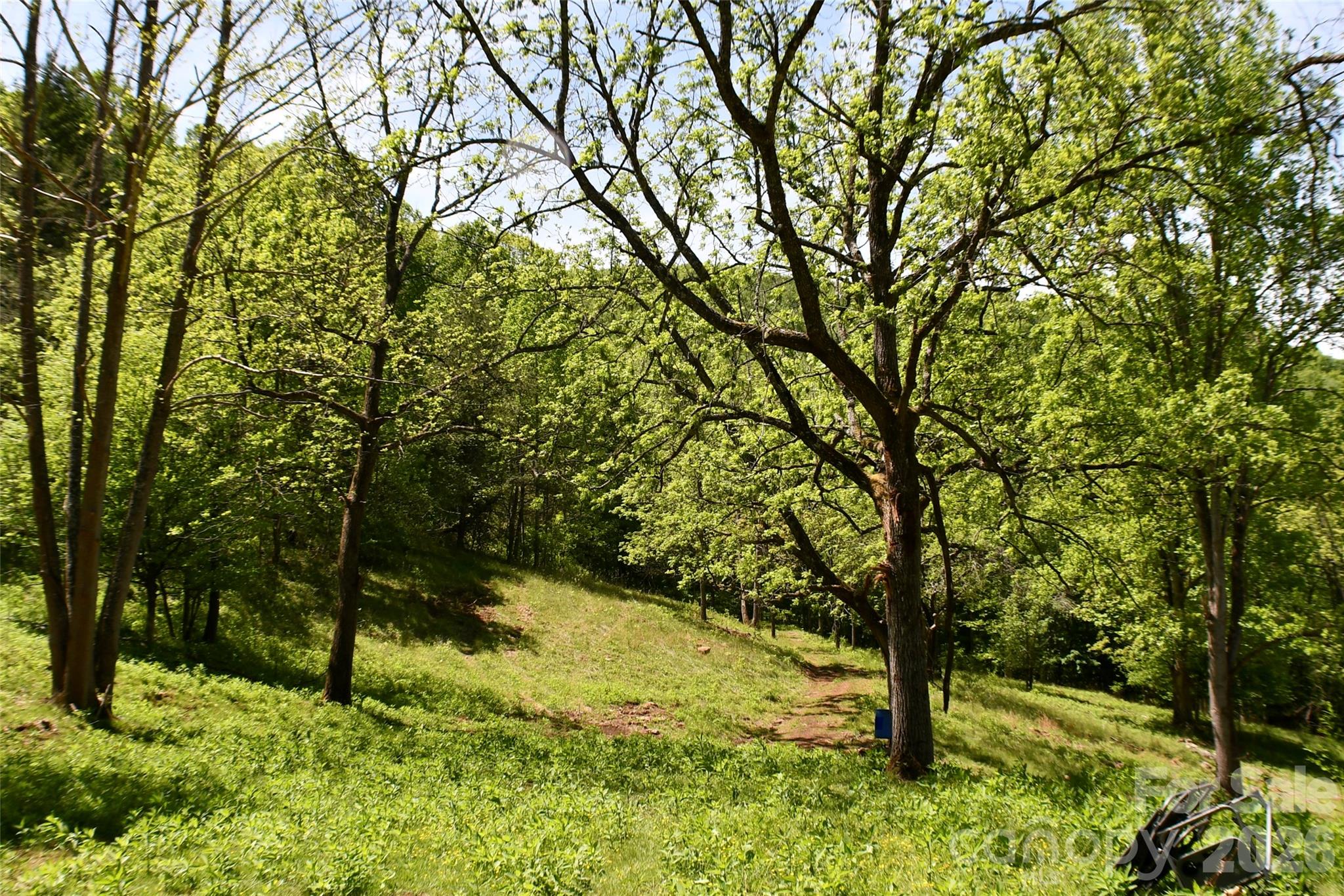 8200 Caney Fork Road Cullowhee, NC 28723 - Photo 8 of 21 a view of an outdoor space and yard
