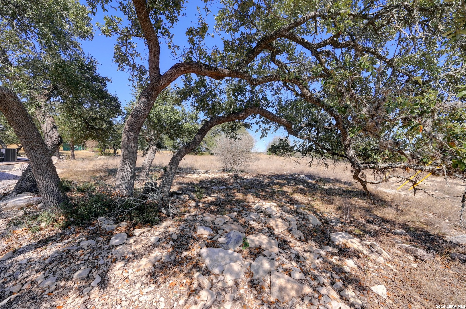 425 George Dolson Blanco, TX 78606 - Photo 21 of 27 a view of a tree in front of a house