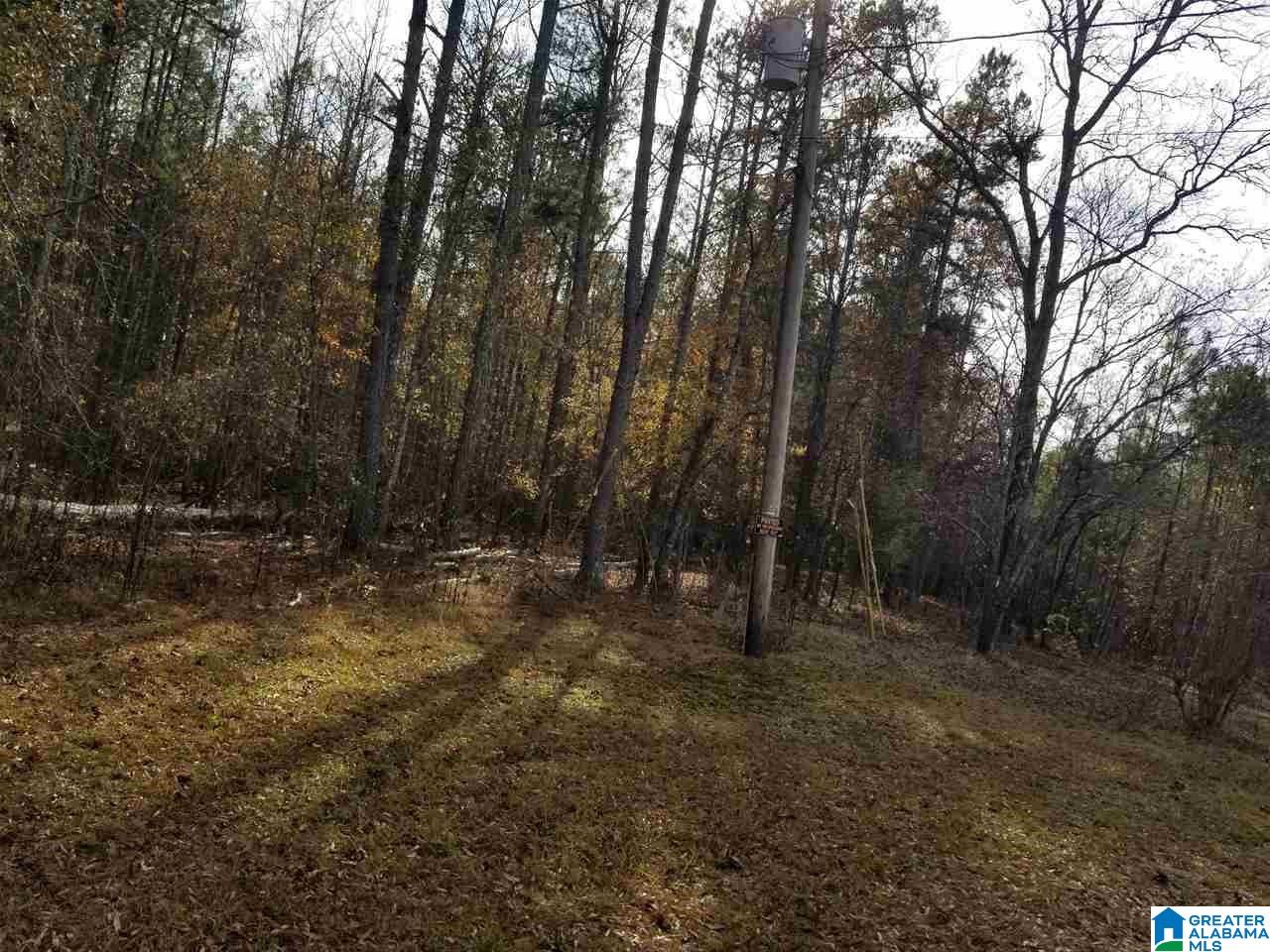 0 Old Creek Road, Unit 1 Ohatchee, AL 36271 - Photo 1 of 8