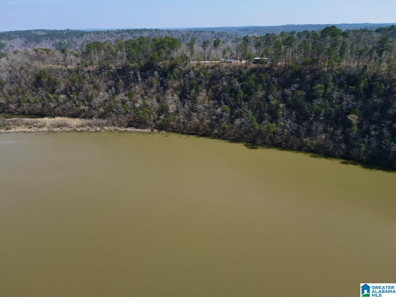 219 Pine Ridge Road, Unit 1 Bessemer, AL 35023 - Photo 30 of 46