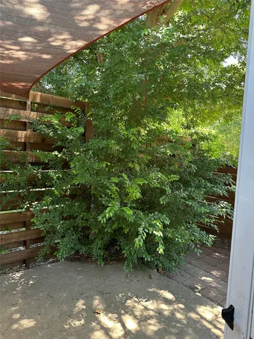 a view of a forest with a tree