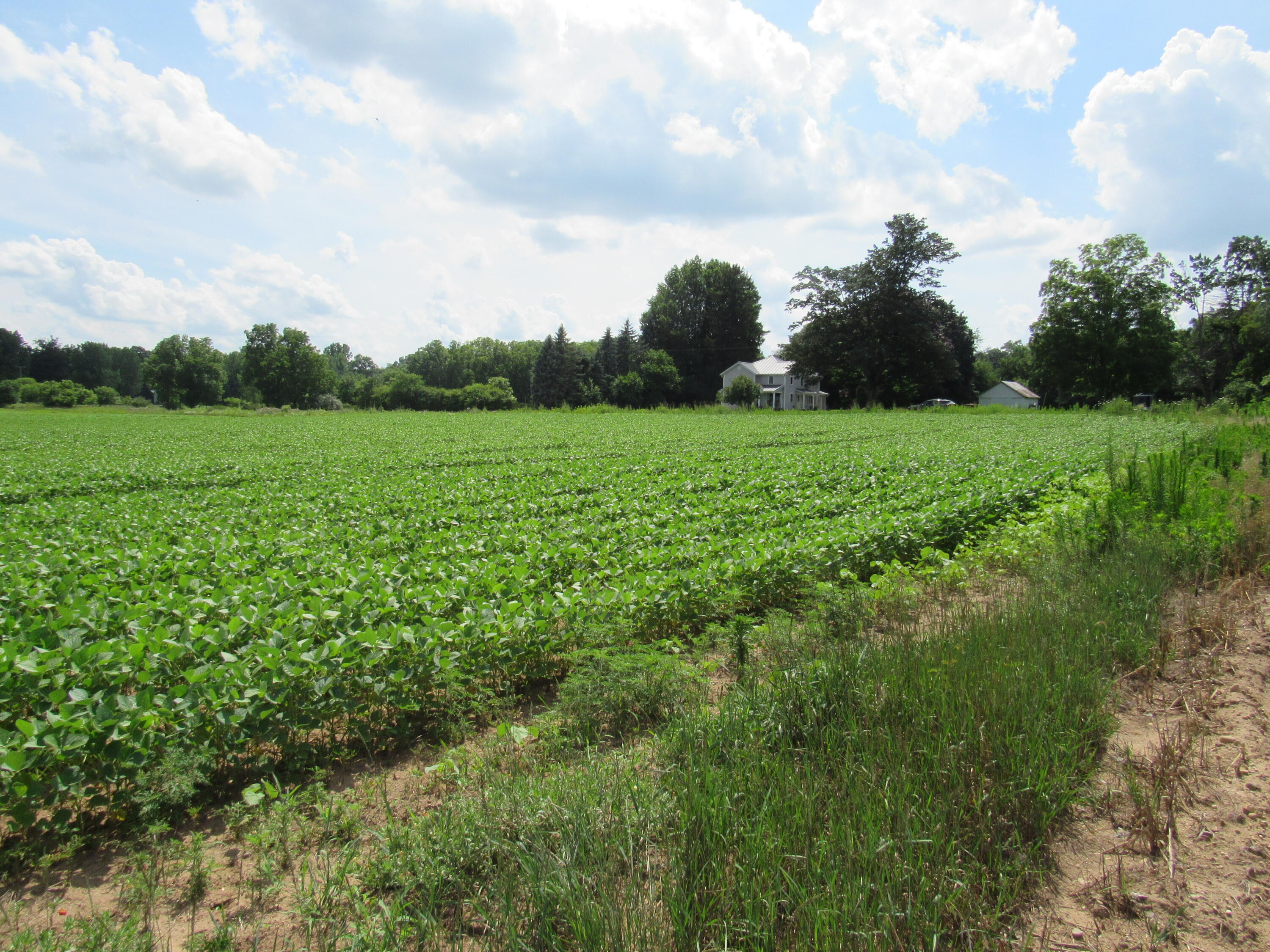 Farrand Road Colon, MI 49040 - Photo 5 of 10 IMG_3762