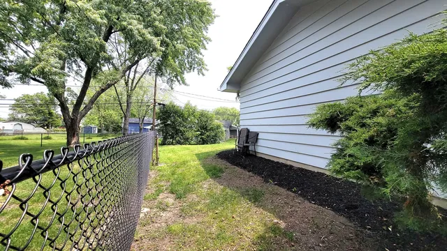 a view of a yard with plants and large trees