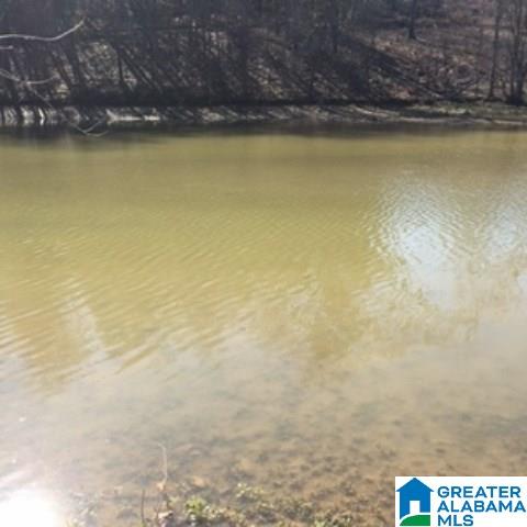 338 Davis Acres Drive, Unit 1 Alpine, AL 35014 - Photo 3 of 19