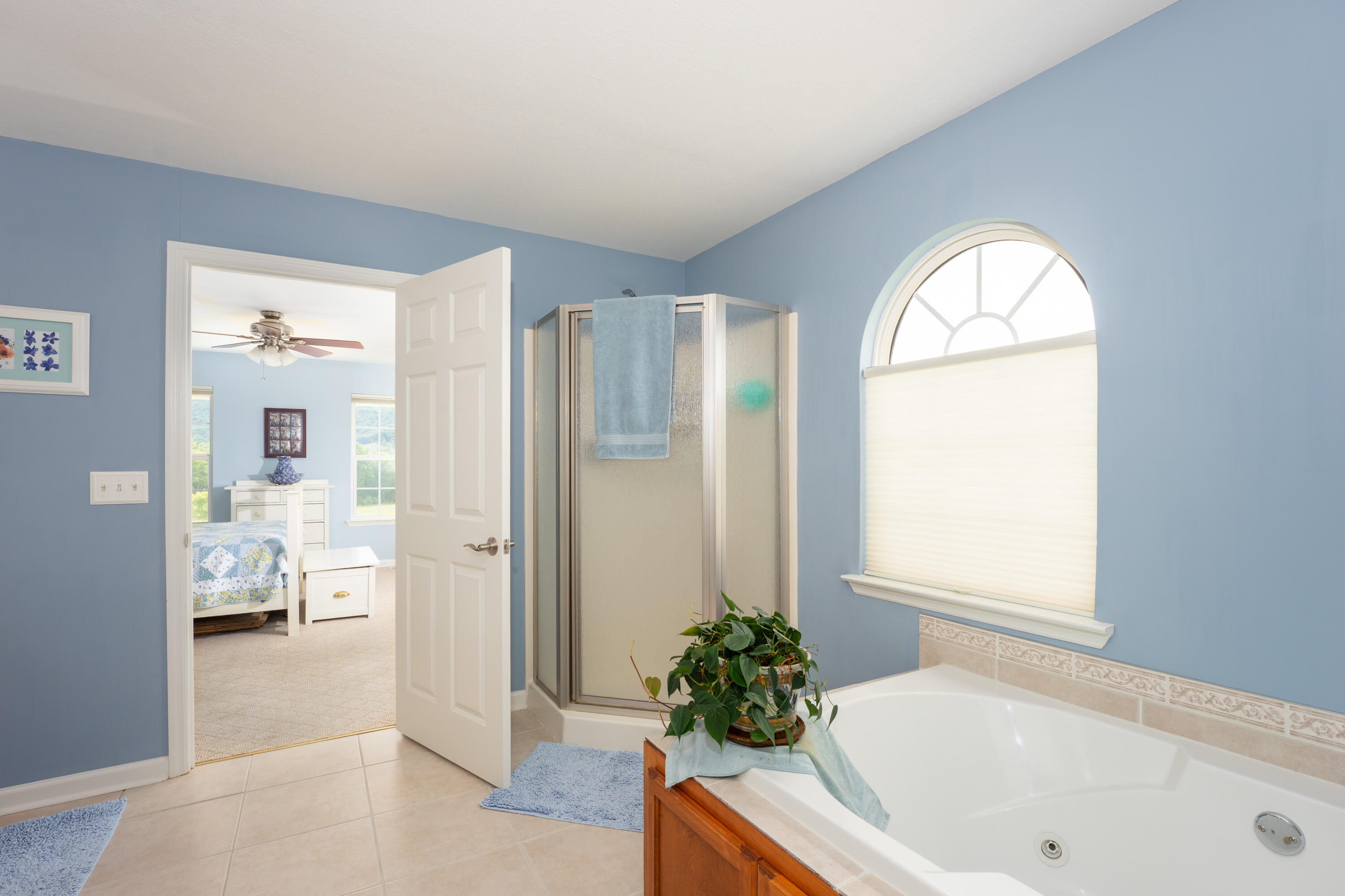 17 Rivers Edge Road Dunlap, TN 37327 - Photo 23 of 36 Primary Bathroom