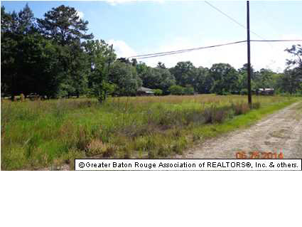 35560 Bend Road Denham Springs, LA 70706 - Photo 1 of 4 Gallery Image 1
