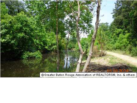 35560 Bend Road Denham Springs, LA 70706 - Photo 3 of 4 Gallery Image 3