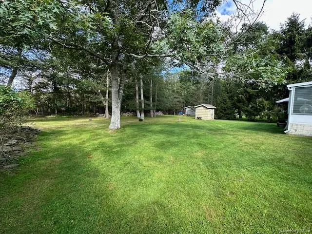 a view of a tree in a yard