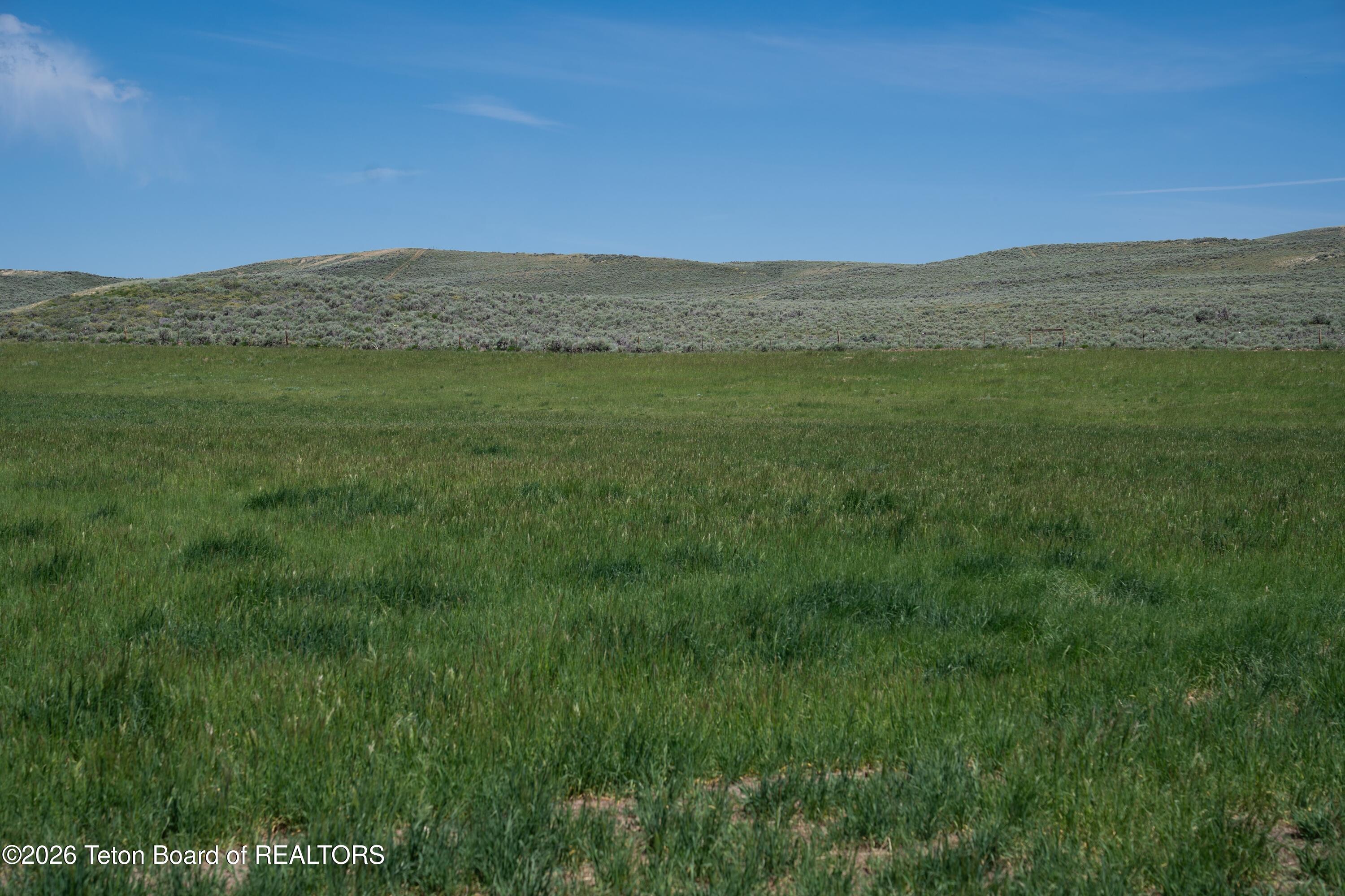 627 Ryegrass Road Daniel, WY 83115 - Photo 68 of 80 Summer Fields