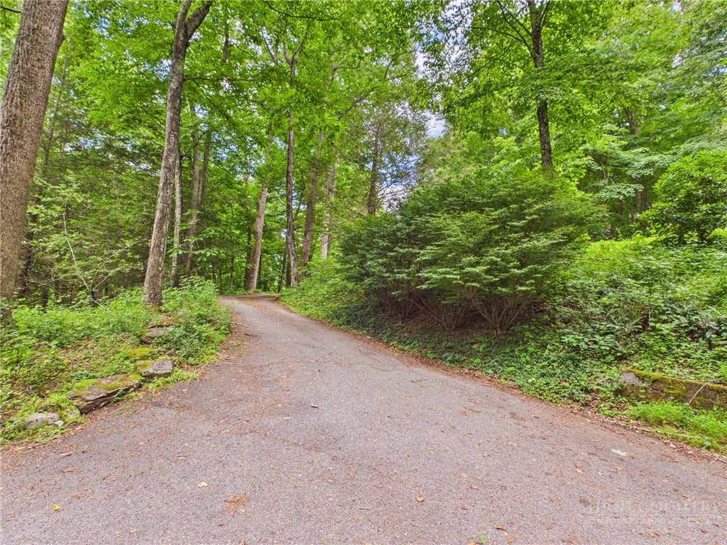 442 Timberlane Drive Boone, NC 28607 - Photo 30 of 31