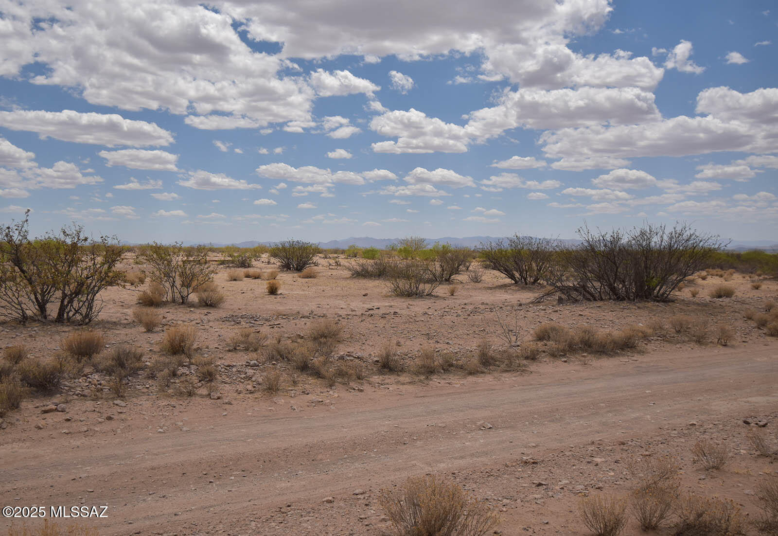 2.7-ac West Austin Henely Road, Unit 706 Elfrida, AZ 85610 - Photo 17 of 17