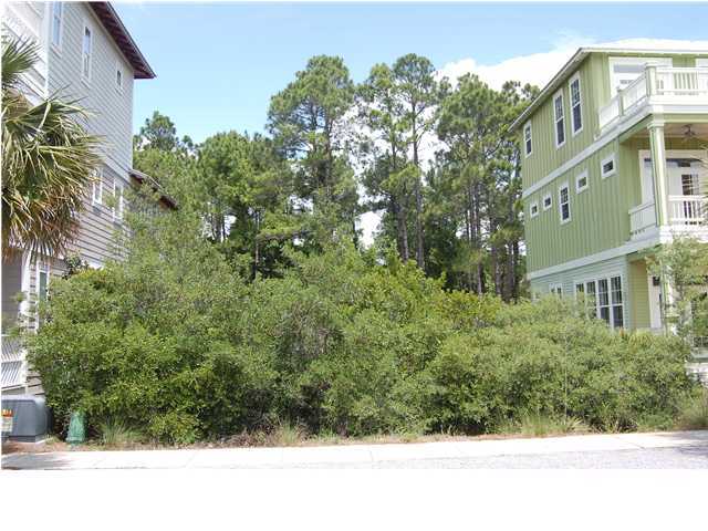 Lot 23 Blue Crab Loop Inlet Beach Inlet Beach, FL 32461 - Photo 4 of 11