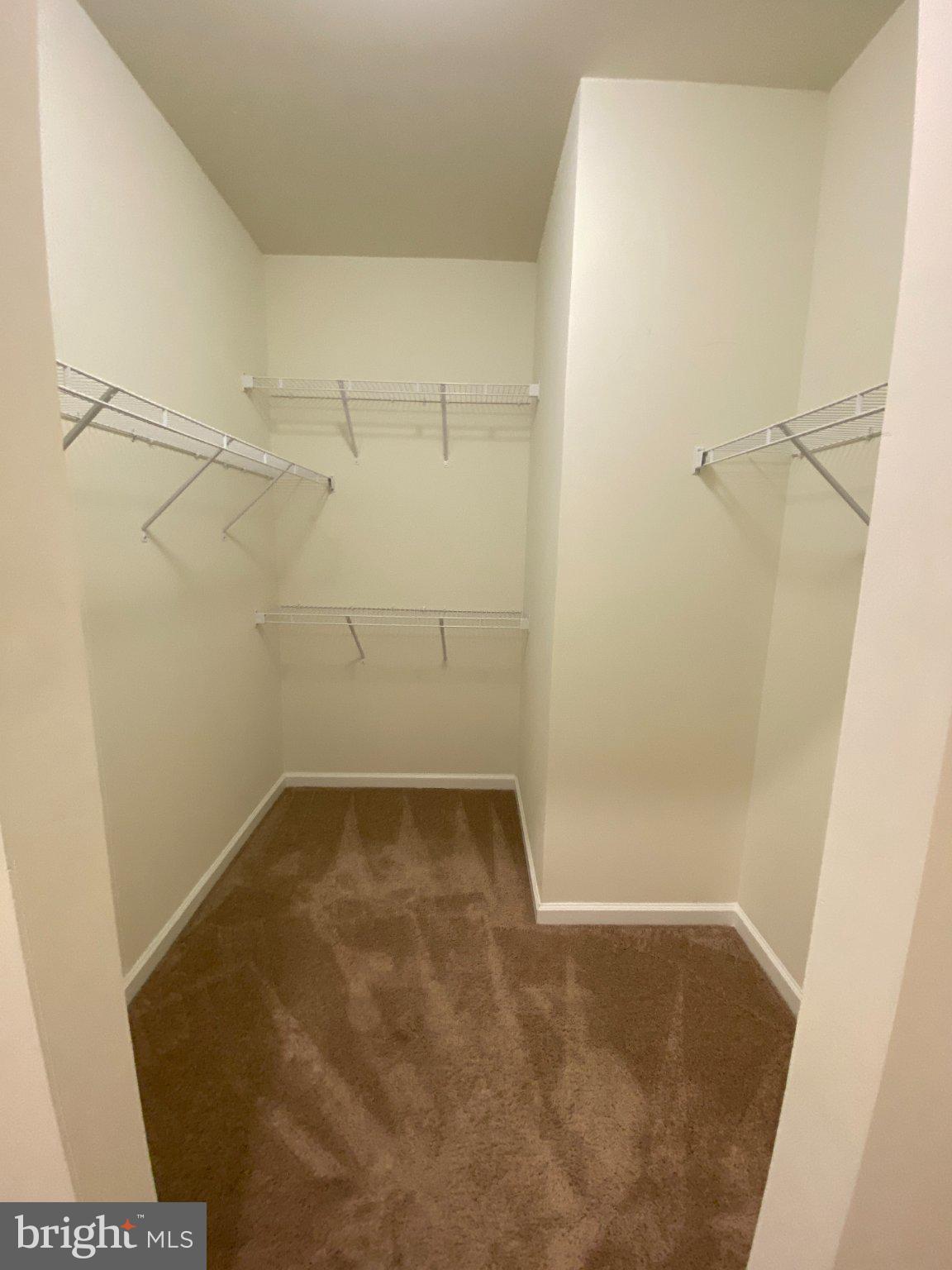 697 Rivanna Run Falling Waters, WV 25419 - Photo 20 of 44 a view of a room with racks on the wall
