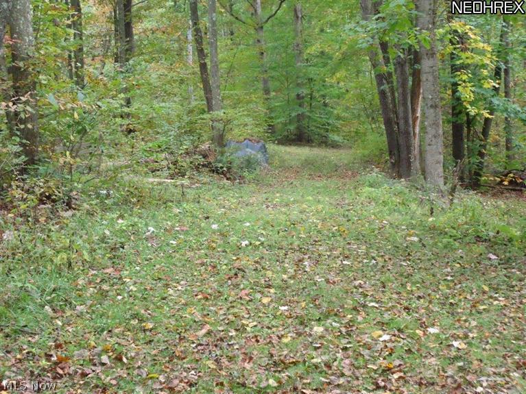 72380 Broadhead Road Kimbolton, OH 43749 - Photo 22 of 25