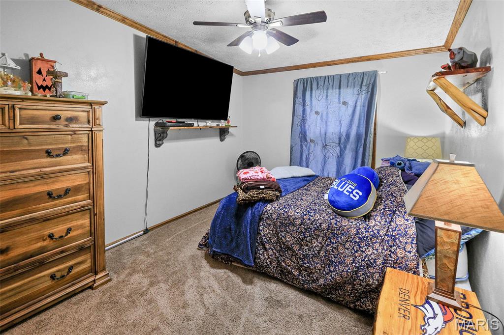 6360 South Fork Road Red Bud, IL 62278 - Photo 40 of 60