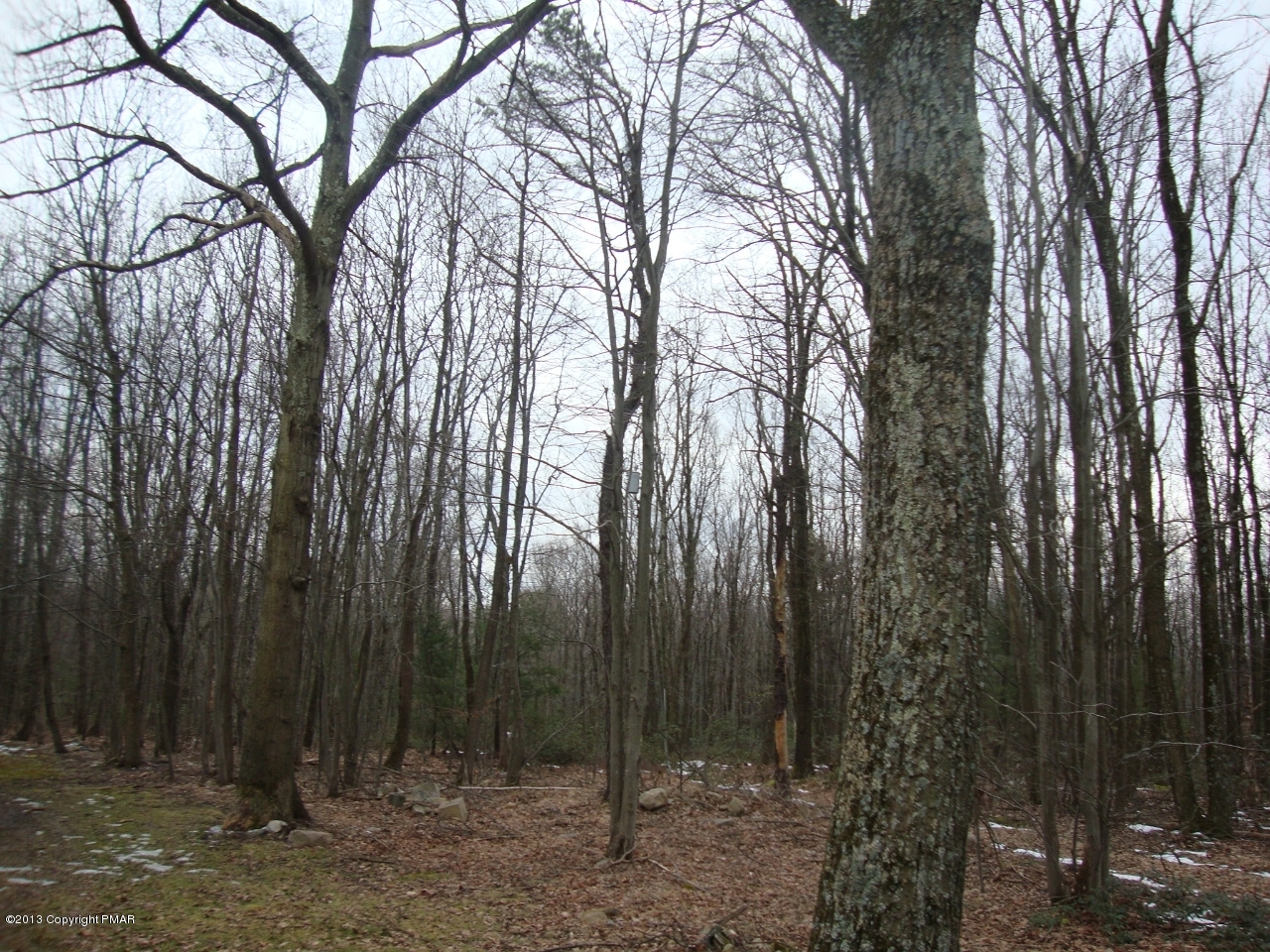 628 Jonas Road Effort, PA 18330 - Photo 14 of 17 DSC05673