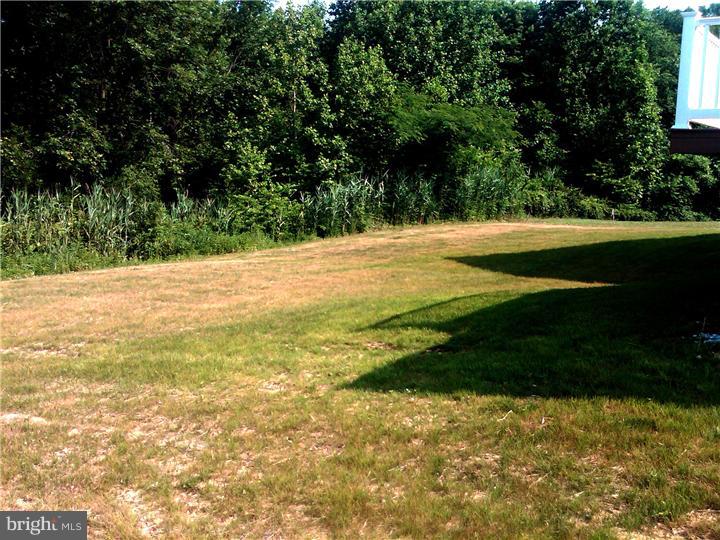 54 West Goldinger Road Dover, DE 19904 - Photo 13 of 23 Exterior Back