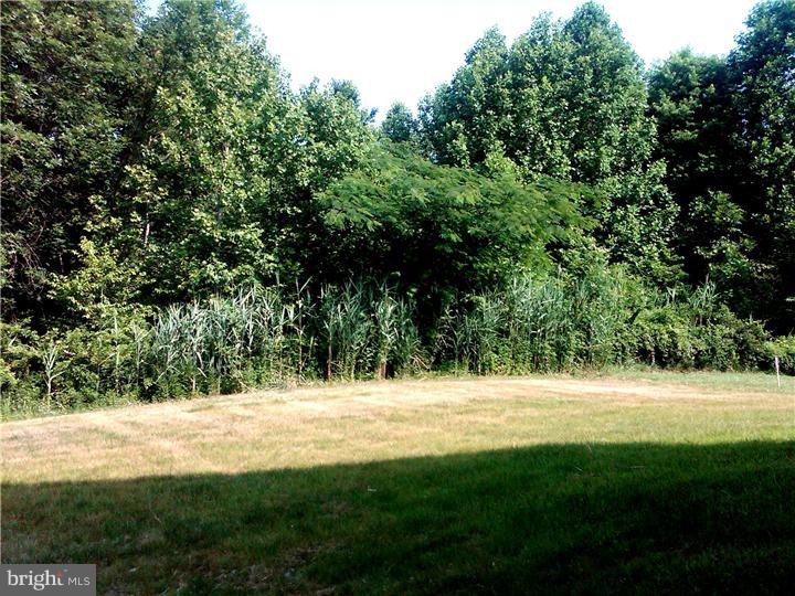54 West Goldinger Road Dover, DE 19904 - Photo 14 of 23 Exterior Back