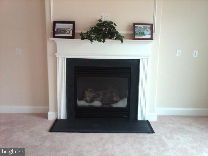 54 West Goldinger Road Dover, DE 19904 - Photo 7 of 23 Fireplace