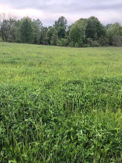 3 Hester Ridge Road Wallingford, KY 41093 - Photo 4 of 6 hr5