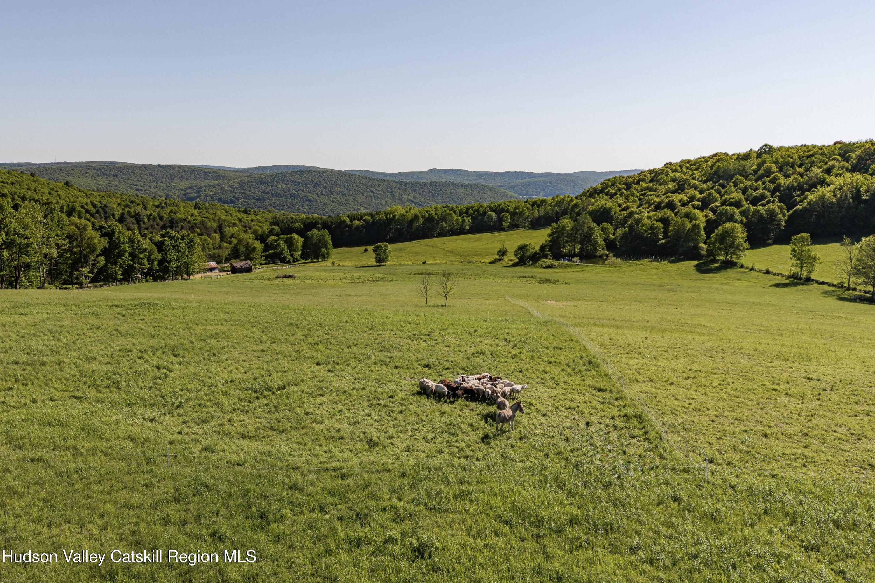 1245 Oak Hill Road Franklin, NY 13775 - Photo 29 of 31 29