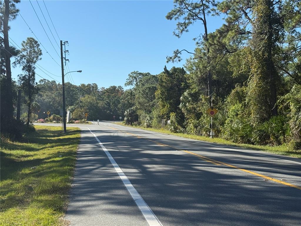 Shoal Line Blvd Spring Hill Spring Hill, FL 34607 - Photo 11 of 14 a view of a yard