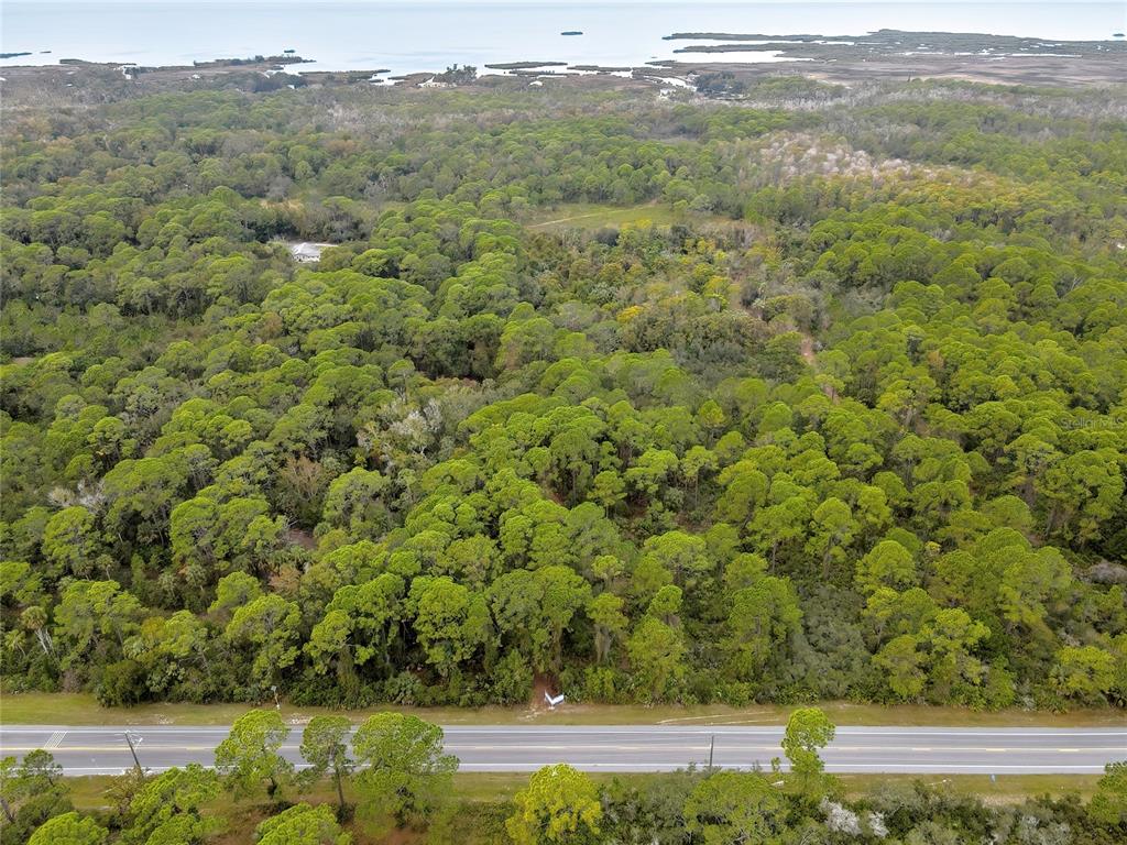 Shoal Line Blvd Spring Hill Spring Hill, FL 34607 - Photo 4 of 14 a view of a yard with an oven