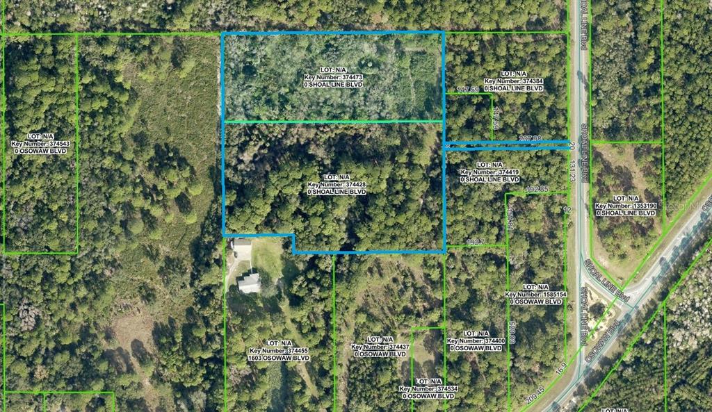 Shoal Line Blvd Spring Hill Spring Hill, FL 34607 - Photo 6 of 14