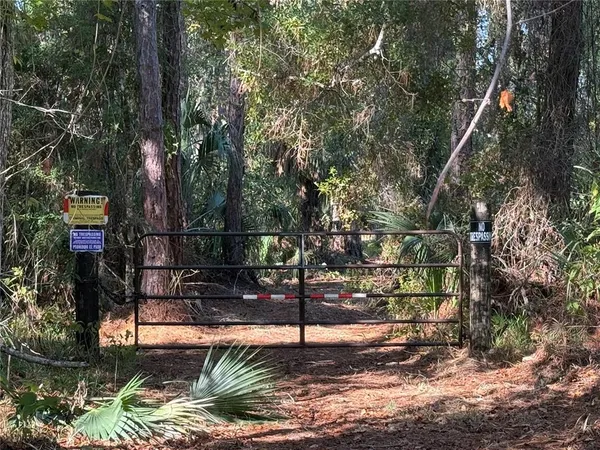 a view of a back yard