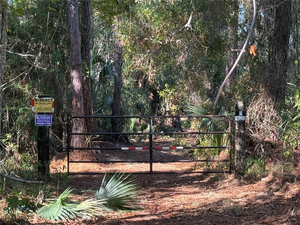 Shoal Line Blvd Spring Hill Spring Hill, FL 34607 - Photo 7 of 14 a backyard of a house with lots of green space and fountain