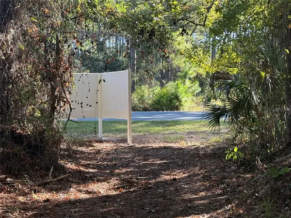 a view of a yard