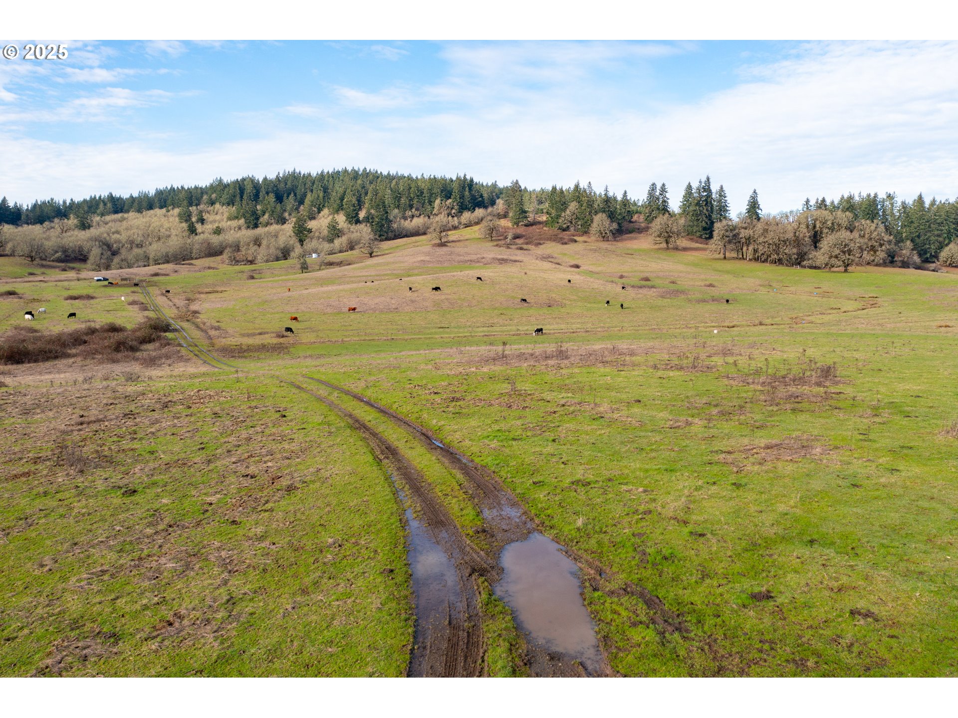0 Next To) Airlie Road Monmouth, OR 97361 - Photo 27 of 34