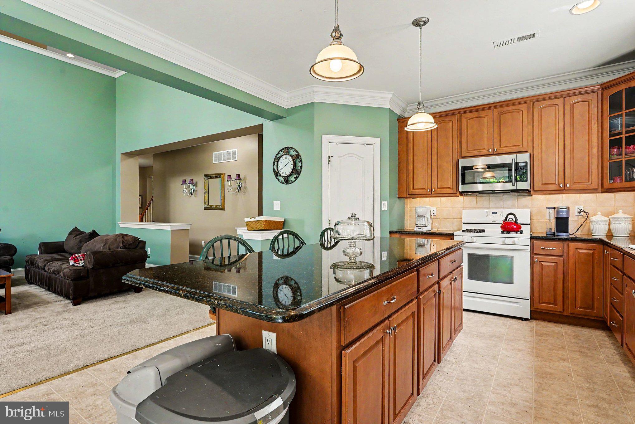 3836 Taylortown Road Furlong, PA 18925 - Photo 19 of 60 Gourmet Kitchen
