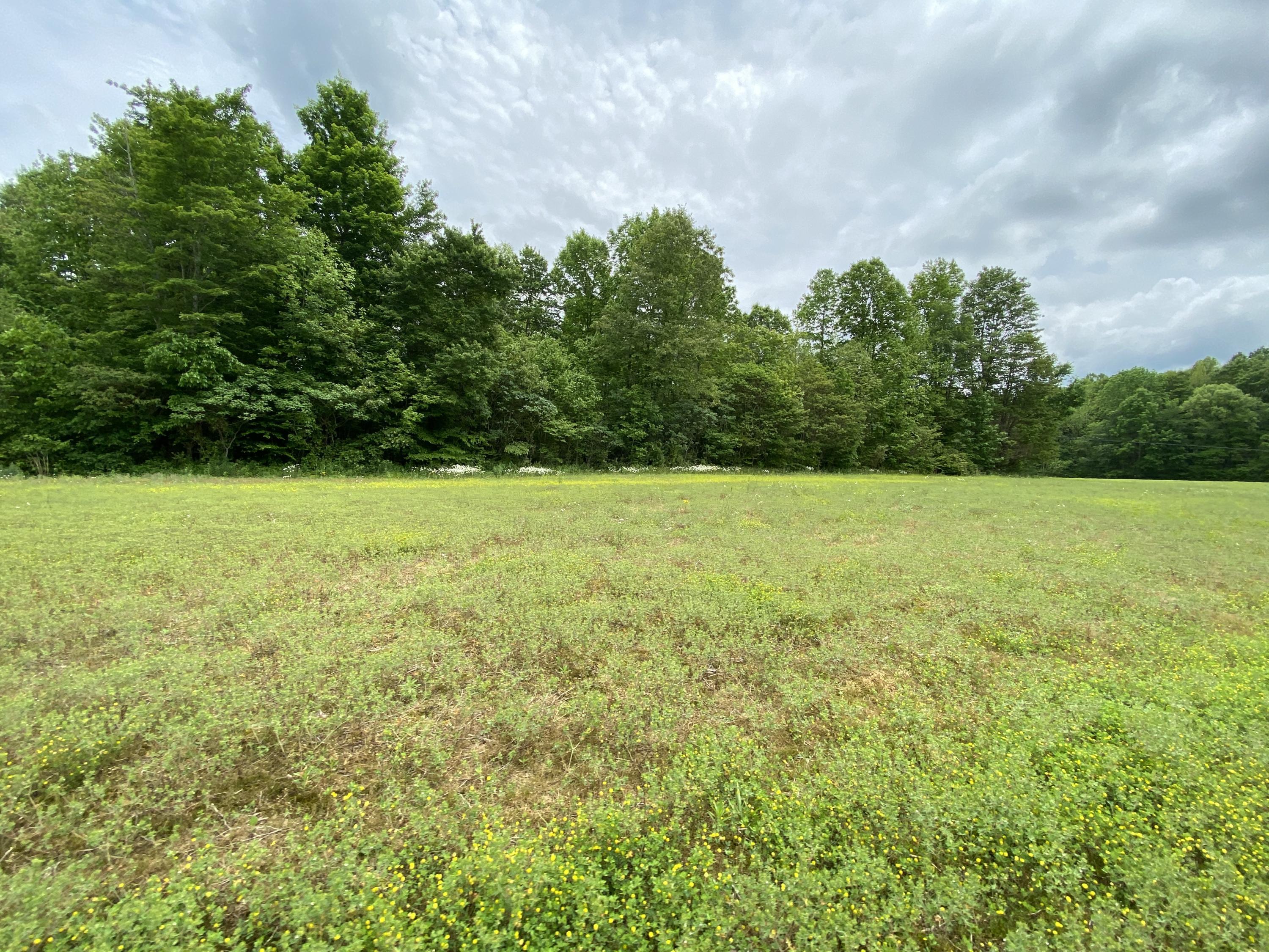 123 South Fork Ridge Road Liberty, KY 42539 - Photo 28 of 28 C53058E8-CA93-448B-A3E9-BF8235EE3EFE<|>P