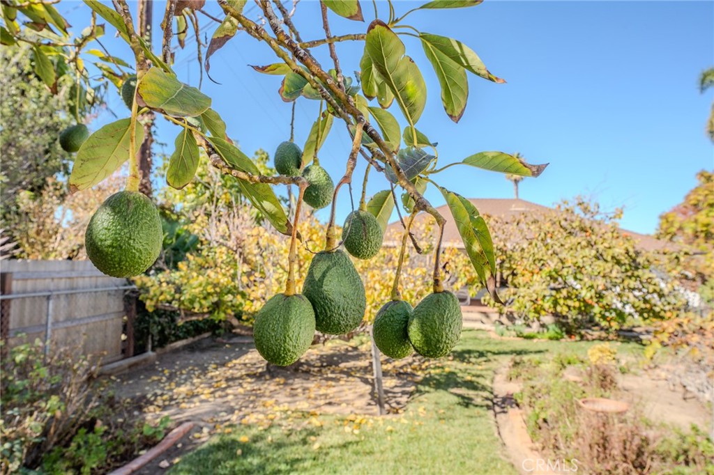 219 Esplanade San Clemente, CA 92672 - Photo 46 of 63