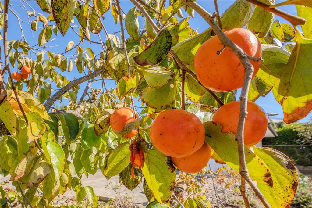 219 Esplanade San Clemente, CA 92672 - Photo 47 of 63 view of a swimming pool with an outdoor space