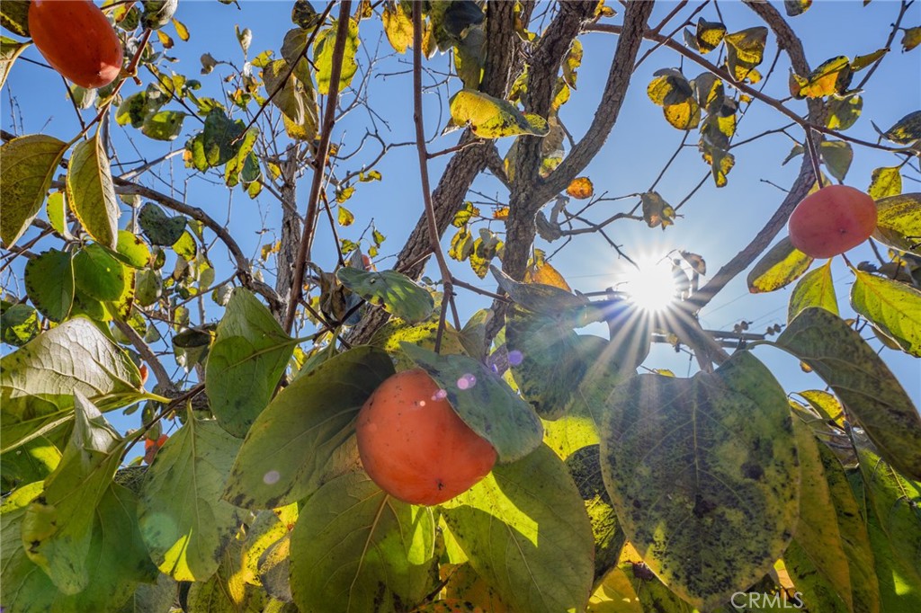 219 Esplanade San Clemente, CA 92672 - Photo 48 of 63