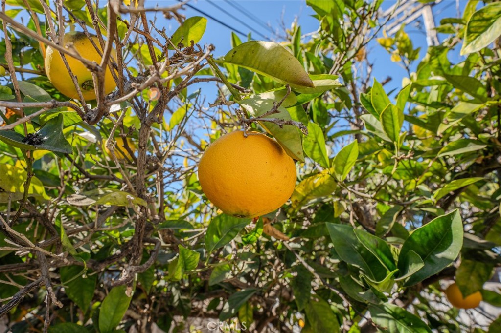 219 Esplanade San Clemente, CA 92672 - Photo 49 of 63