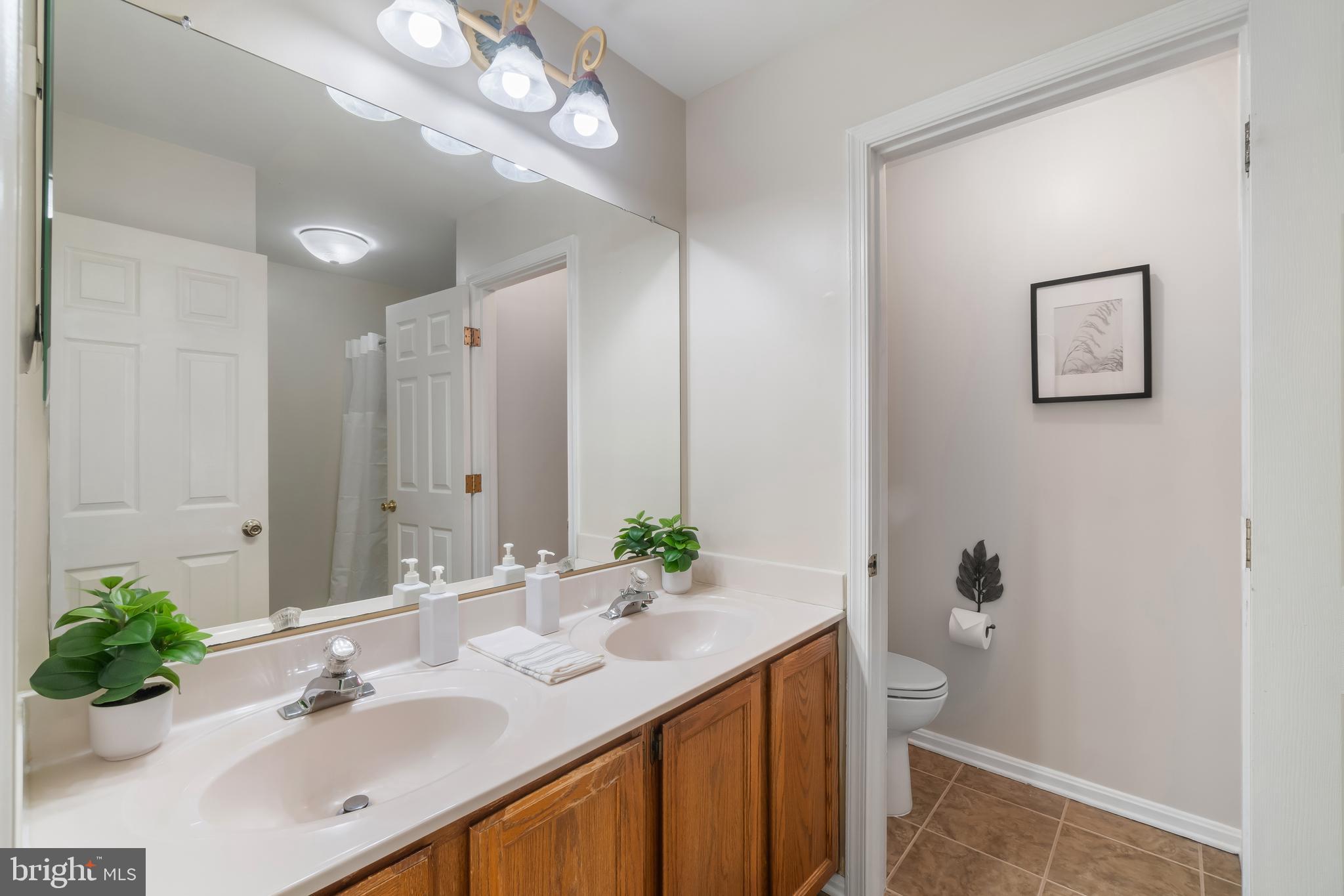 4402 Cole Farm Road Nottingham, MD 21236 - Photo 22 of 42 a bathroom with a sink a large mirror and a potted plant
