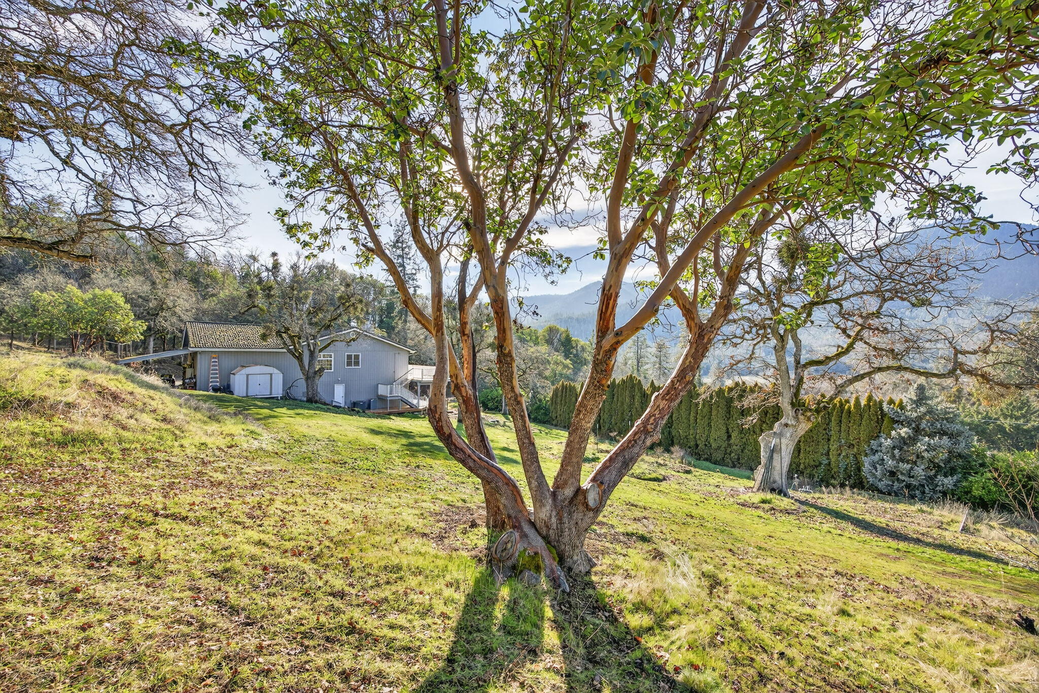 1979 Upper Applegate Road Jacksonville, OR 97530 - Photo 60 of 70 ApxUA00026