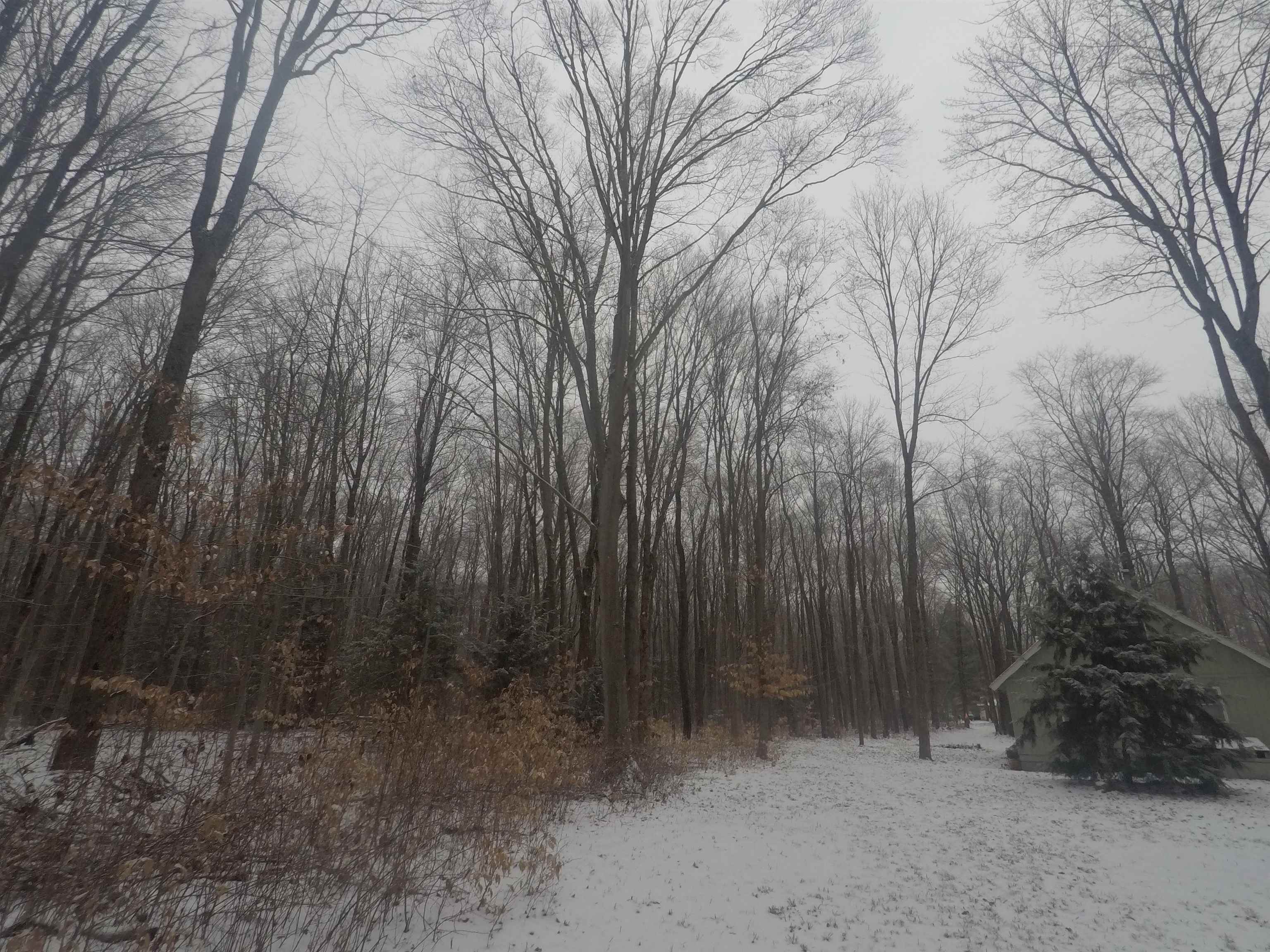 2800 South 29 Road Cadillac, MI 49601 - Photo 13 of 38