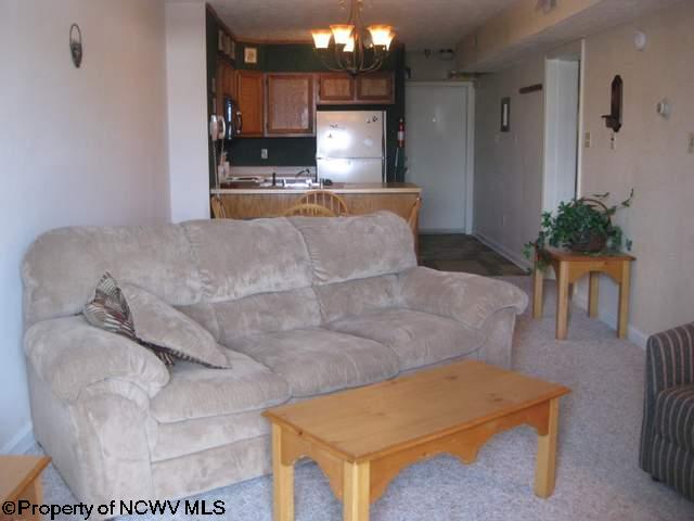 233 Beaver Ridge Road Davis, WV 26260 - Photo 2 of 9 Gallery Image 2