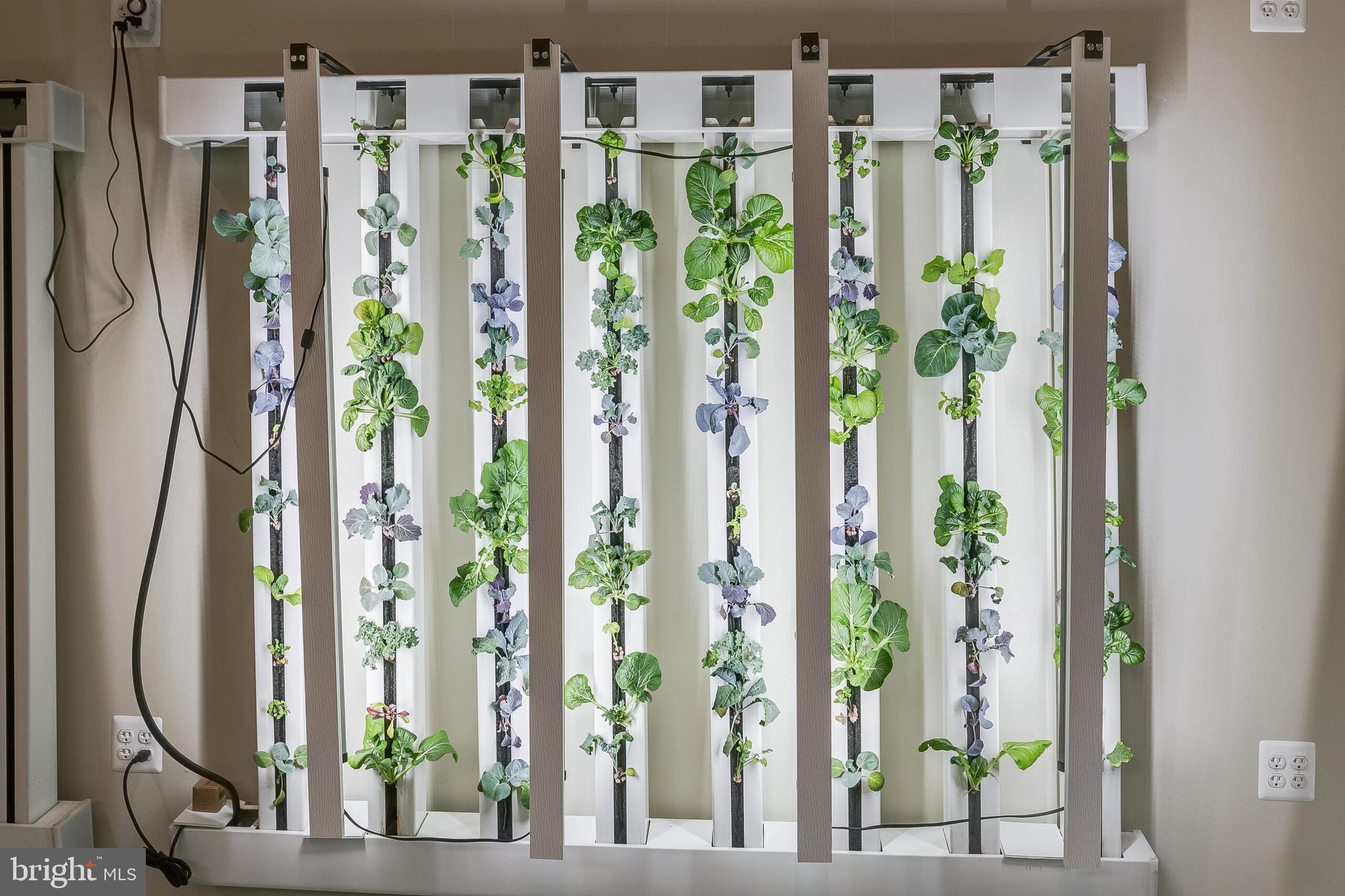 5553 Beverleys Mill Road Broad Run, VA 20137 - Photo 15 of 80 a view of an entryway with garden view